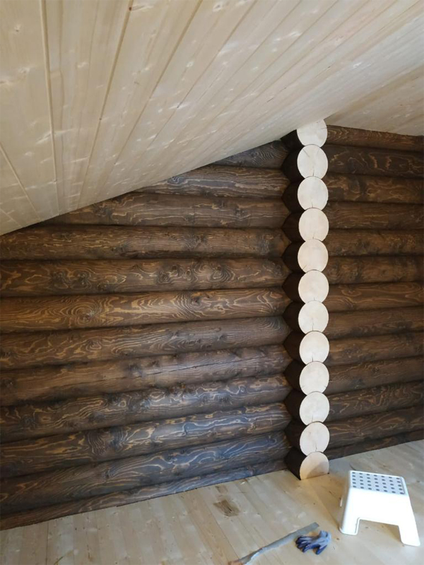 Пример окраски